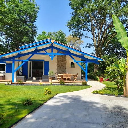 La Clairiere Du Seignanx Bed & Breakfast Saint-Martin-de-Seignanx Dış mekan fotoğraf