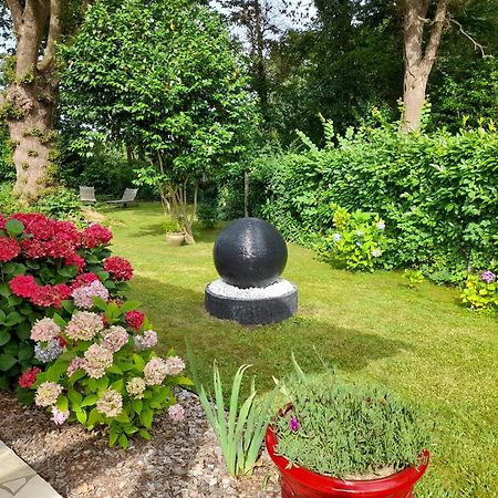 La Clairiere Du Seignanx Bed & Breakfast Saint-Martin-de-Seignanx Dış mekan fotoğraf
