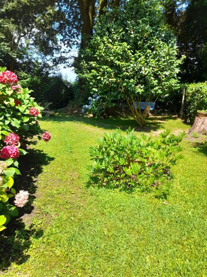 La Clairiere Du Seignanx Bed & Breakfast Saint-Martin-de-Seignanx Dış mekan fotoğraf