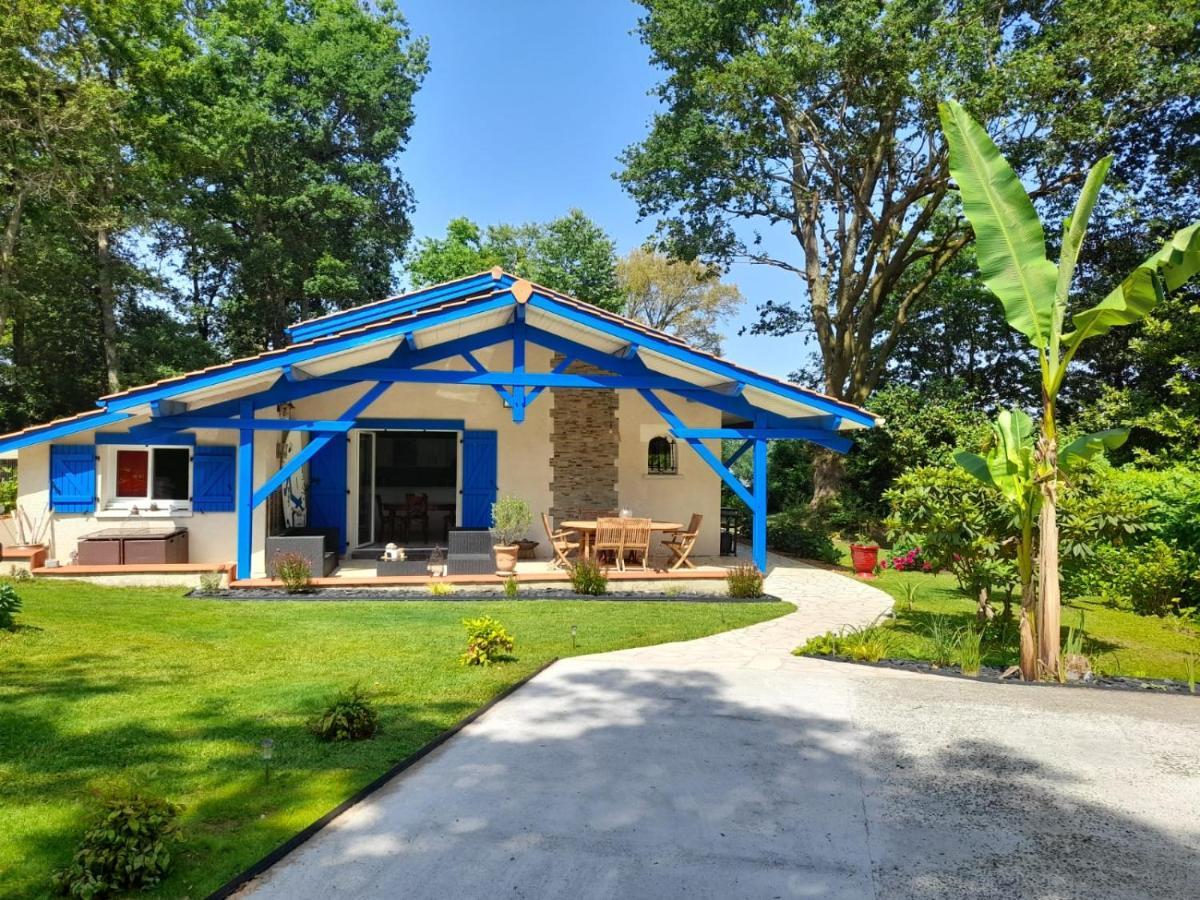 La Clairiere Du Seignanx Bed & Breakfast Saint-Martin-de-Seignanx Dış mekan fotoğraf