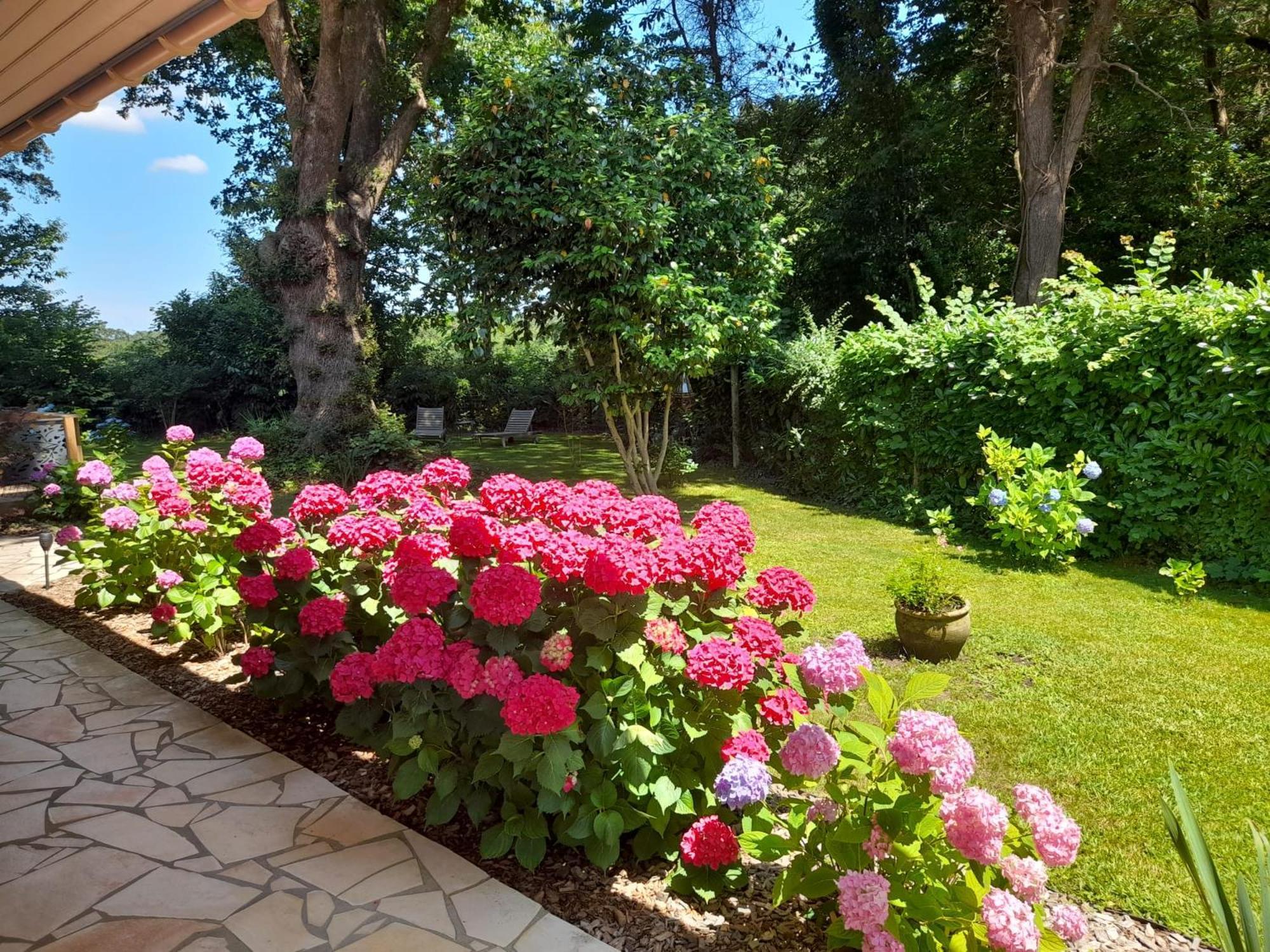 La Clairiere Du Seignanx Bed & Breakfast Saint-Martin-de-Seignanx Dış mekan fotoğraf