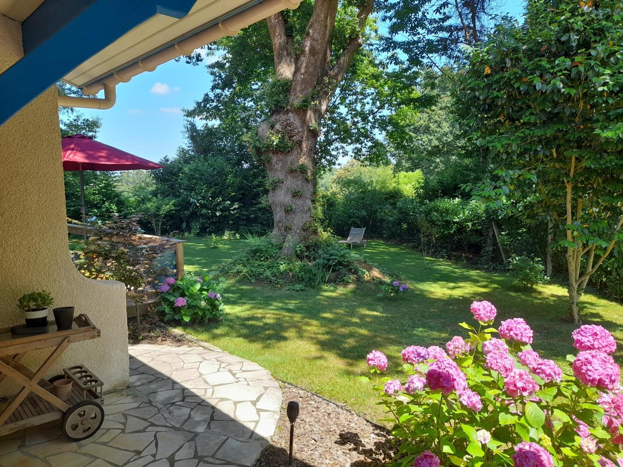 La Clairiere Du Seignanx Bed & Breakfast Saint-Martin-de-Seignanx Dış mekan fotoğraf